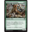 Hachecorne déchaîné / Rampaging Rendhorn