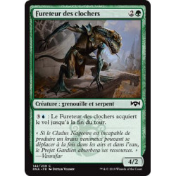 Fureteur des clochers / Steeple Creeper