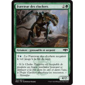 Fureteur des clochers / Steeple Creeper