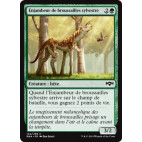 Enjambeur de broussailles sylvestre / Sylvan Brushstride
