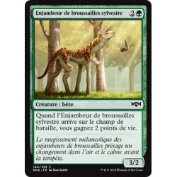 Enjambeur de broussailles sylvestre / Sylvan Brushstride