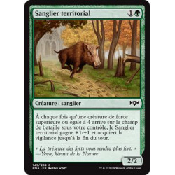 Sanglier territorial / Territorial Boar