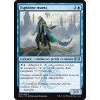 Espionne manta / Skatewing Spy