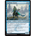 Espionne manta / Skatewing Spy