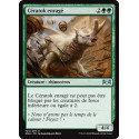Cératok enragé / Enraged Ceratok