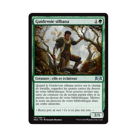 Guidevoie silhana / Silhana Wayfinder