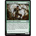 Guidevoie silhana / Silhana Wayfinder