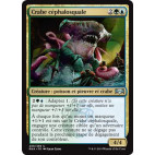 Crabe céphalosquale / Sharktocrab