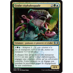 Crabe céphalosquale / Sharktocrab