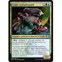 Crabe céphalosquale / Sharktocrab