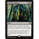 Éveil des Naguères / Awaken the Erstwhile