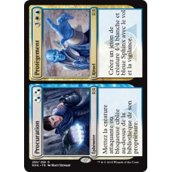 Procuration // Protègement / Warrant // Warden