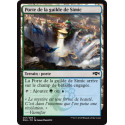 Porte de la guilde de Simic / Simic Guildgate - Foil
