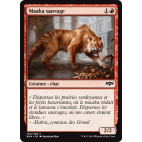 Maaka sauvage / Feral Maaka