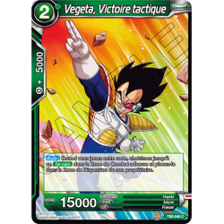 TB3-040 Vegeta, Victoire tactique