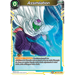 TB3-062 Assimilation