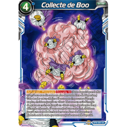 BT6-050 Collecte de Boo