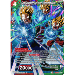 BT7-113 Son Gohan et Son Goten, Liens familiaux