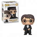 91 Harry Potter Yule Ball