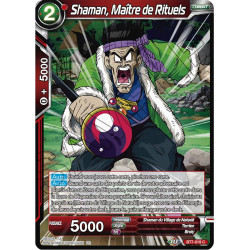 BT7-019 Shaman, Maître de Rituels