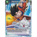 GE04-BT1-053 Haricot magique
