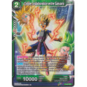 GE04-P-041 Cabbe, collaboration entre Saiyans