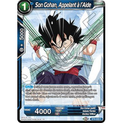 BT8-028 Son Gohan, Appelant à l'Aide