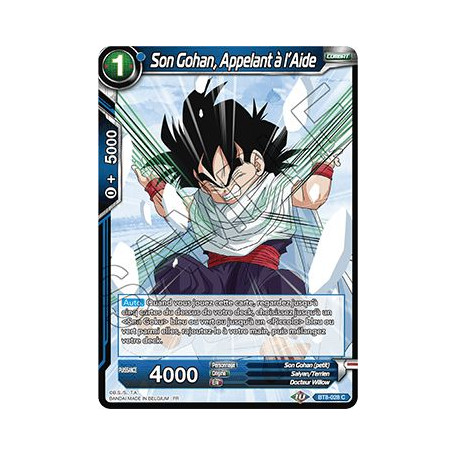 BT8-028 Son Gohan, Appelant à l'Aide