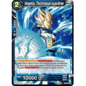 BT8-029 Vegeta, Technique suprême