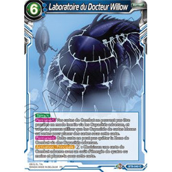 BT8-040 Laboratoire du Docteur Willow