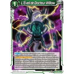 BT8-063 L'Éveil de Docteur Willow
