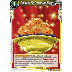 BT8-085 Gros Lot du Tournoi de Bingo