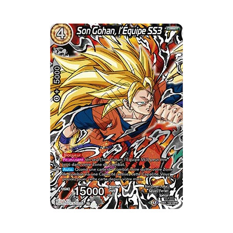 DB1-102 Son Gohan, l'Équipe SS3