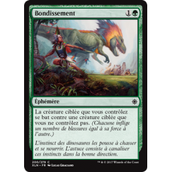 Bondissement / Pounce