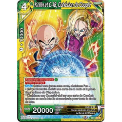 DB1-093 Krillin et C-18, Cohésion de Couple