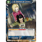 DB1-029 C-18, Ralliement de l'Univers 7