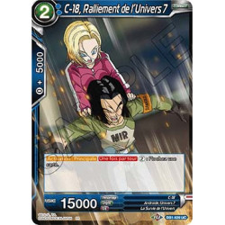 DB1-029 C-18, Ralliement de l'Univers 7