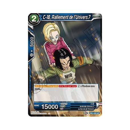 DB1-029 C-18, Ralliement de l'Univers 7