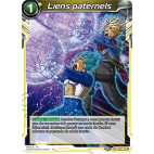 DB1-080 Liens paternels