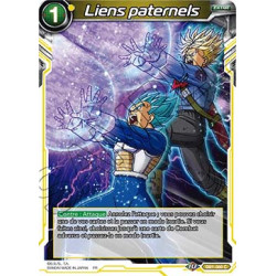 DB1-080 Liens paternels