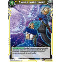 DB1-080 Liens paternels