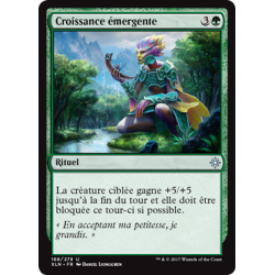 Croissance émergente / Emergent Growth