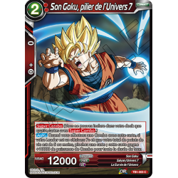 TB1-003 C Son Goku, pilier de l'Univers 7